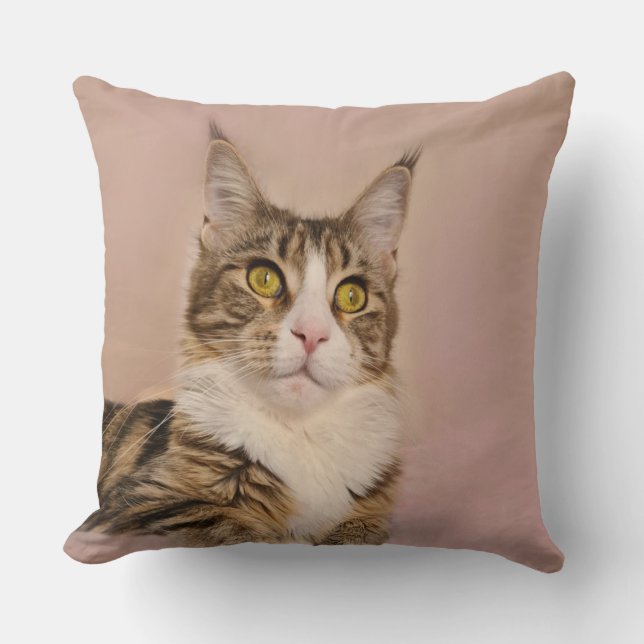 Coussin Portrait du chaton Maine Coon (Recto)