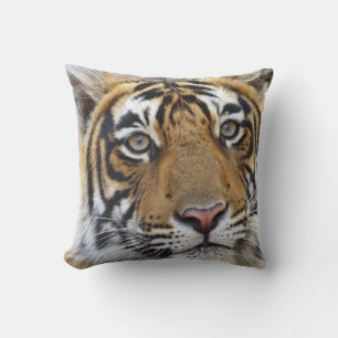 Coussin Portrait du Tigre royal du Bengale, Ranthambhor