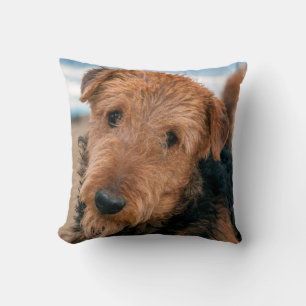 Coussin Portrait d'un Airedale Terrier