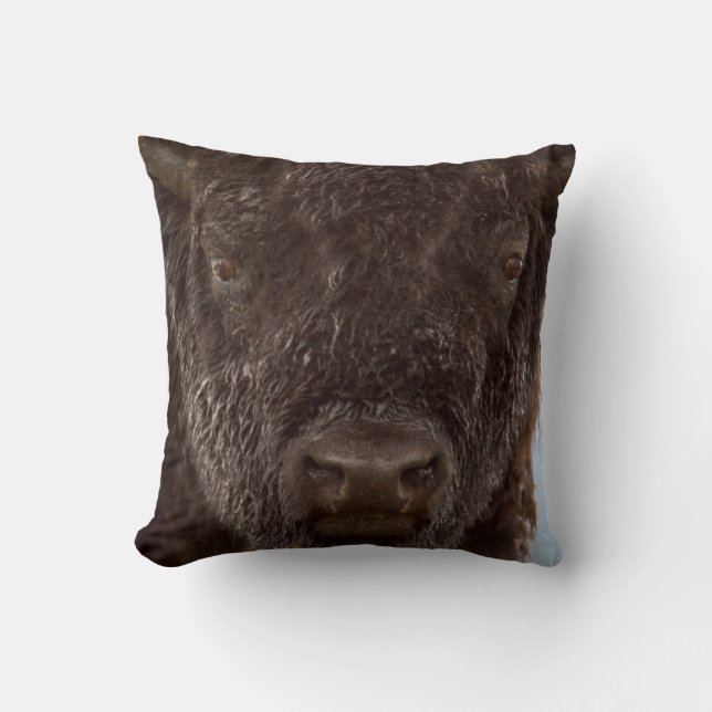 Coussin Portrait d'un bison mâle sous la pluie (Recto)