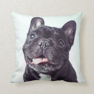 Coussin Portrait d'un joyeux Bulldog français