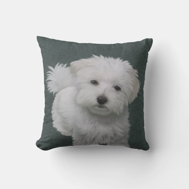 Coussin Portrait d'un petit chien blanc (Recto)