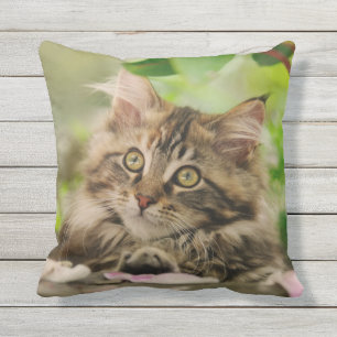 Coussin Portrait mignon de chaton de chat de ragondin du