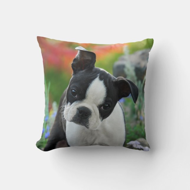 Coussin Portrait mignon de chiot de chien de Boston (Recto)