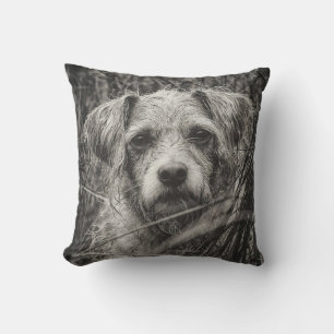 Coussin Portrait noir et blanc mignon et chiot photo
