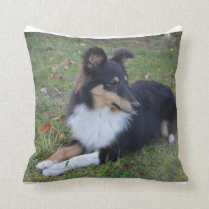 Coussin pose bronzage de blanc noir de SHP de shet