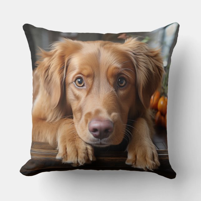 Coussin Pose de chiot Golden Retriever (Recto)