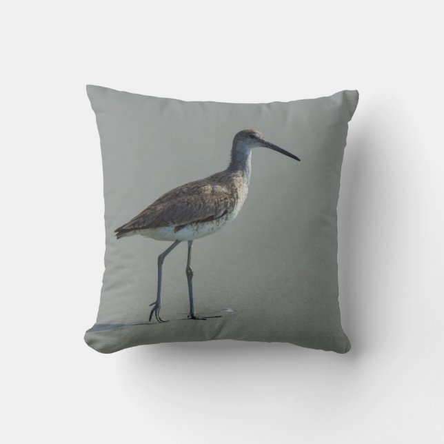 Coussin Pose Sandpiper (Recto)