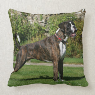 Coussin Position Brindle d'exposition canine de boxeur