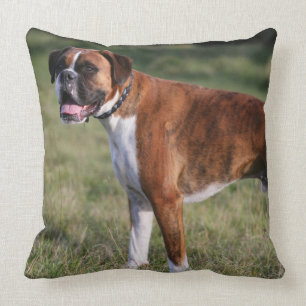 Coussin Position de chien de boxeur