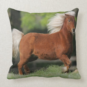 Coussin Position miniature de cheval