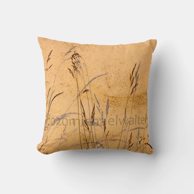 Coussin Poster Acrylique Carte Postale Grasses Et Ombres D (Recto)