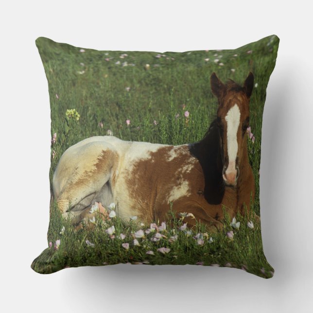 Coussin Poulain d'Appaloosa fixant en fleurs (Recto)