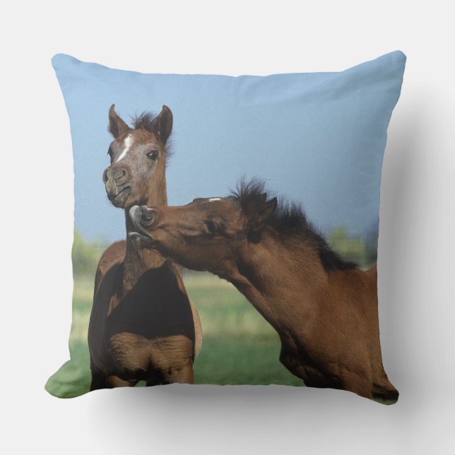 Coussin Poulains jouant 2 (Recto)