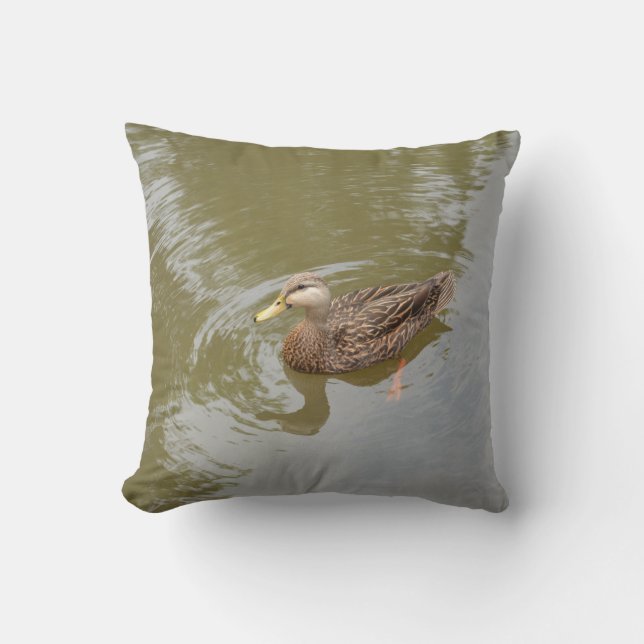 Coussin poule de canard dans l'oiseau animal de plume de (Recto)