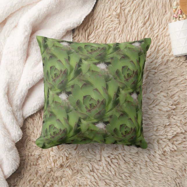 Coussin Poules et poulets Succulents Motif de la nature (Couverture)