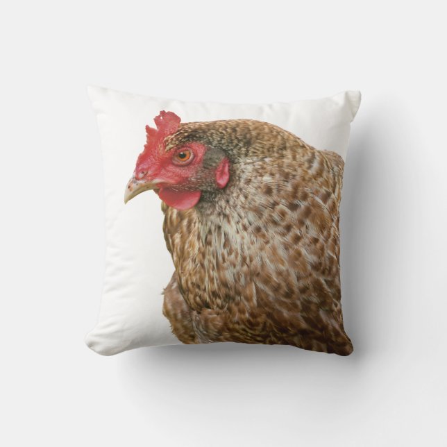 Coussin poulet (Recto)