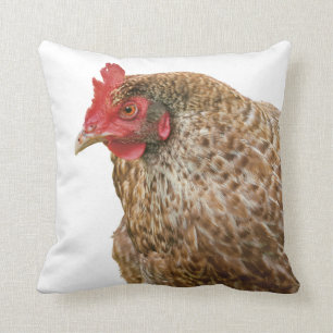 Coussin poulet