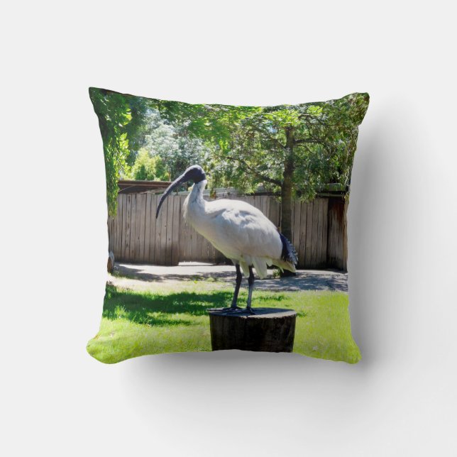 Coussin Poulet À Bin (ibis) Sur Une Pompe D'Arbre, (Recto)