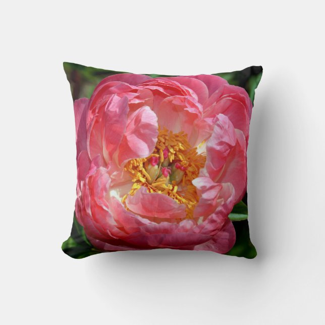 Coussin Poulet rose de fleur de pivoine (Recto)