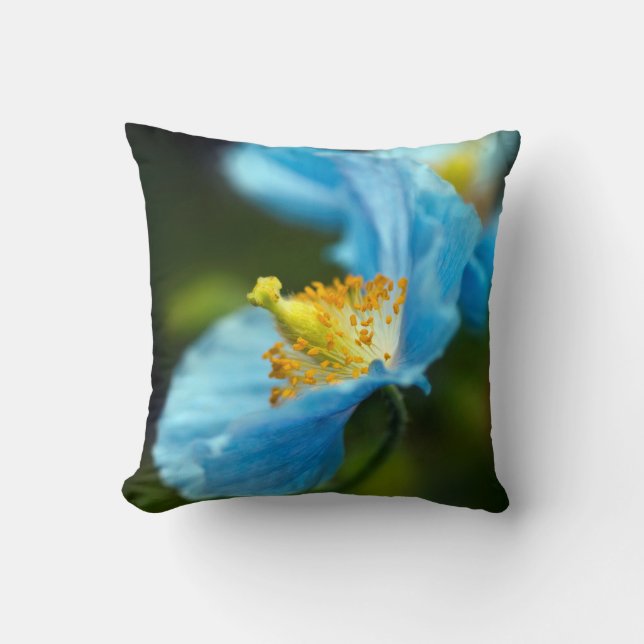 Coussin Poupée de fleurs bleues (Recto)