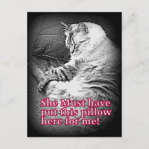 Coussin pour moi Carte postale