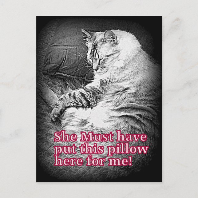 Coussin pour moi Carte postale (Devant)