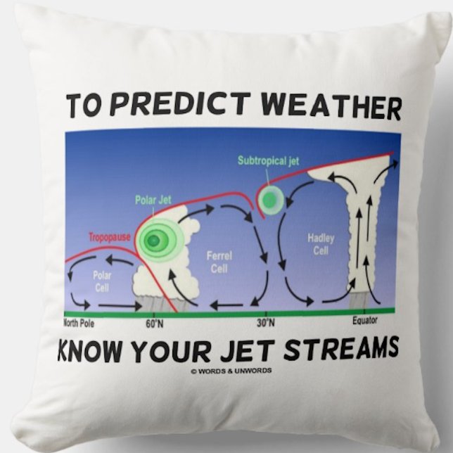 Coussin Pour prédire le temps Connaître vos flux Jet (Earth scientists & atmospheric scientists will enjoy this meteorological attitude throw pillow)