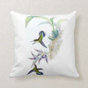 Coussin Pourpre vintage de vert d'illustration de colibri