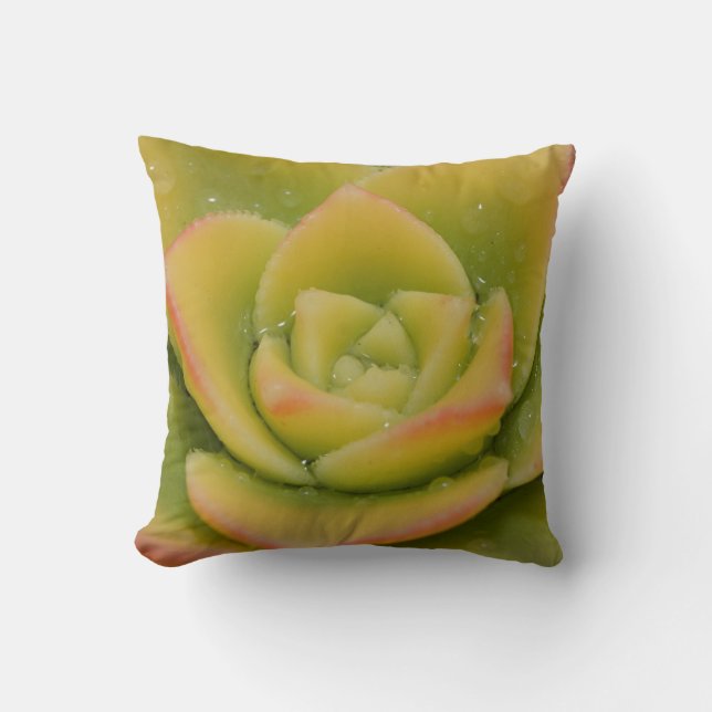 Coussin Pousse émeraude : le joyau liquide de la nature (Recto)