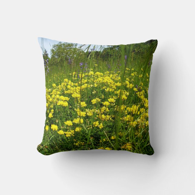 Coussin Poussin à lancer de talon de pied d'oiseau (Recto)