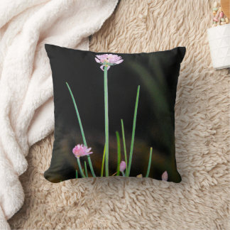 Coussin Poussins