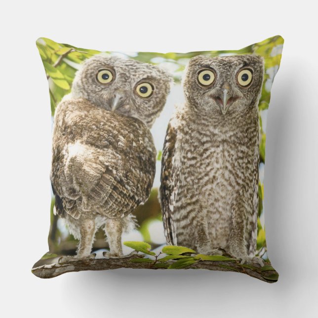 Coussin Poussins 2 de hiboux de cri strident (Recto)