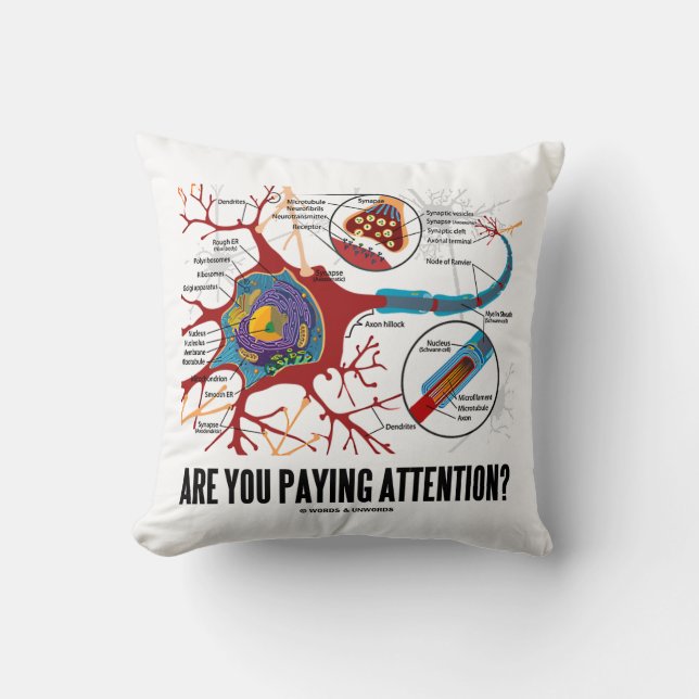 Coussin Prends-Tu Attention ? Humour Synapse du neurone (Recto)