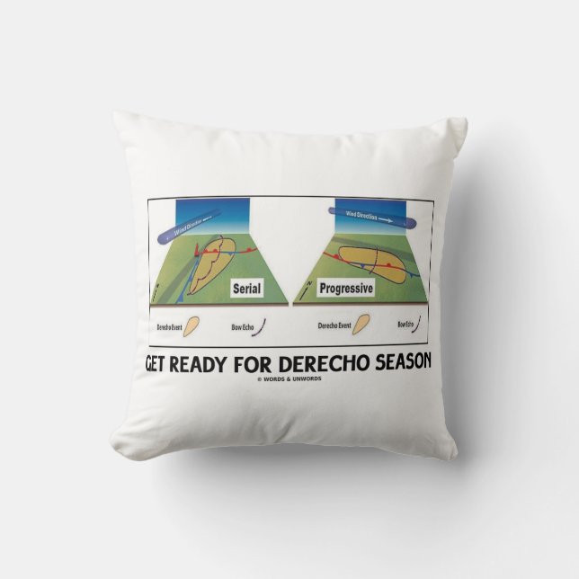 Coussin Préparez-vous pour la saison des derechos (météoro (Recto)