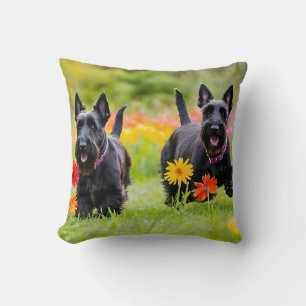 Coussin Prêter des Terriers écossais dans l'herbe et les f