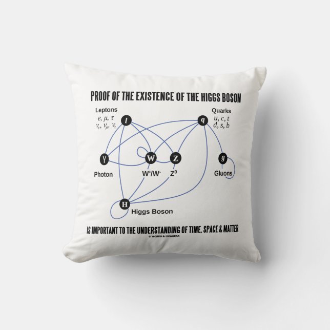 Coussin Preuve de l'existence du boson de Higgs Temps (Recto)