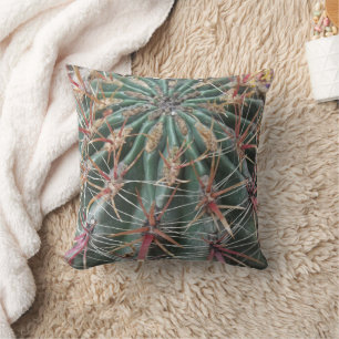 Coussin Prickly Cactus Desert Plantes Design sud-ouest