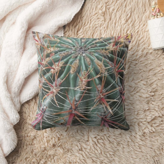 Coussin Prickly Cactus Desert Plantes Design sud-ouest (Couverture)