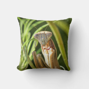 Coussin Prier Mantis