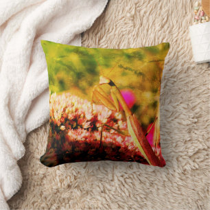 Coussin Prier Mantis Sur Sedum Fleur Abstrait Grunge