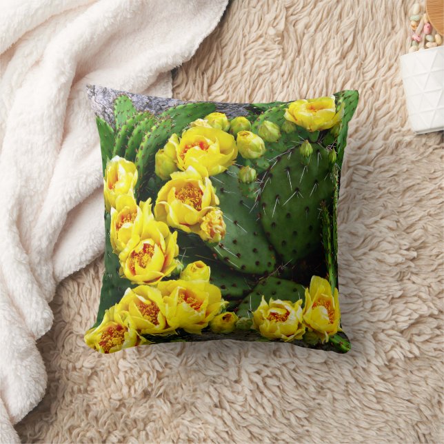 Coussin Priez contre la pierre (Couverture)