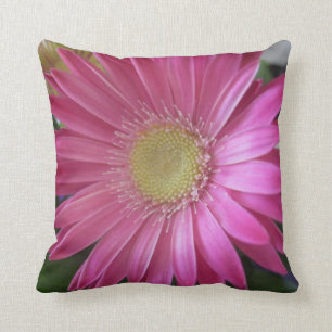 Coussin Princesse rose de marguerite