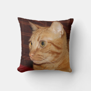 Coussin Profil de visage de chat Tabou orange