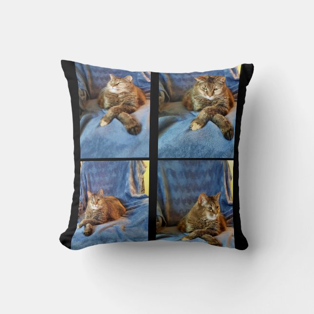 COUSSIN PROFONDE DANS LA CUISINE PENSÉE (Recto)