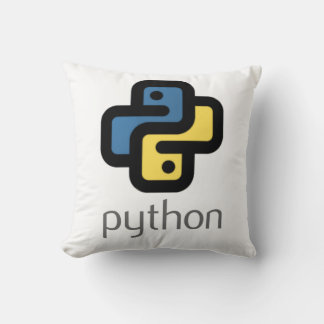 Coussin Programmation Python