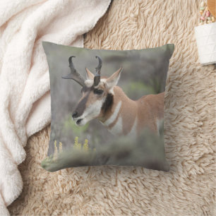 Coussin Pronghorn Antelope Buck Grand Tetons