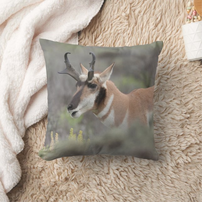 Coussin Pronghorn Antelope Buck | Grand Tetons (Couverture)