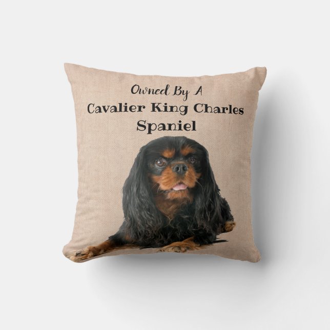 Coussin Propriété d'un chien espagnol Cavalier (Recto)