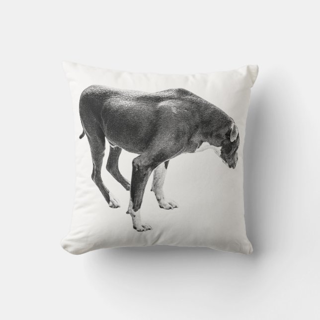 Coussin Protecteur anti-chute rustique (Recto)